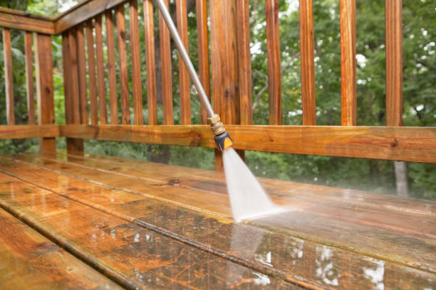 Animal Enclosure Cleaning in North Plainfield, NJ